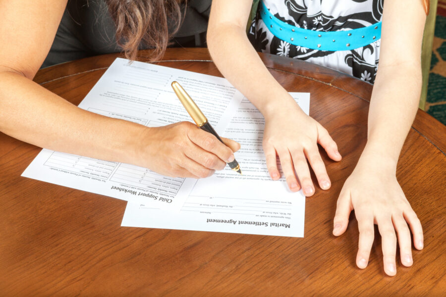 Pet Custody Looks a Bit More Like Child Custody Thanks to New CA Law