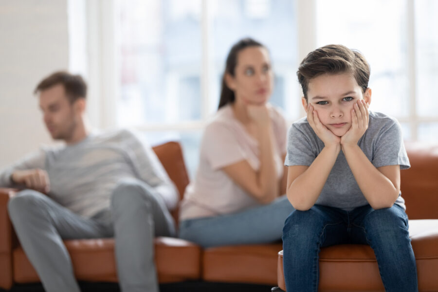 San Diego Mediation: Mediation with Family Court Services Versus a Private Mediator