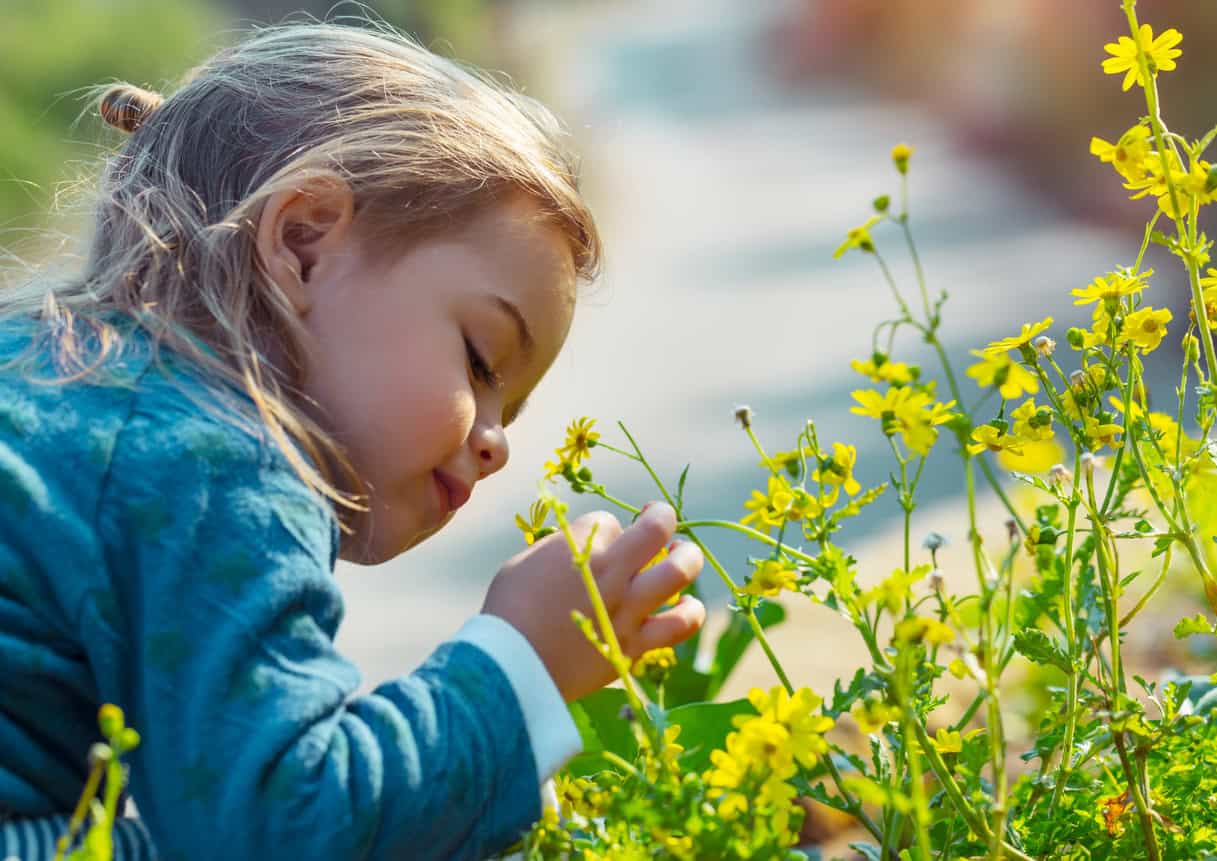 What Is Joint Custody?