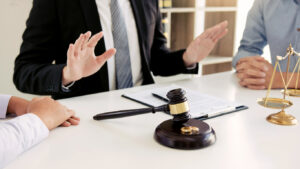 Domestic Partnership Overview