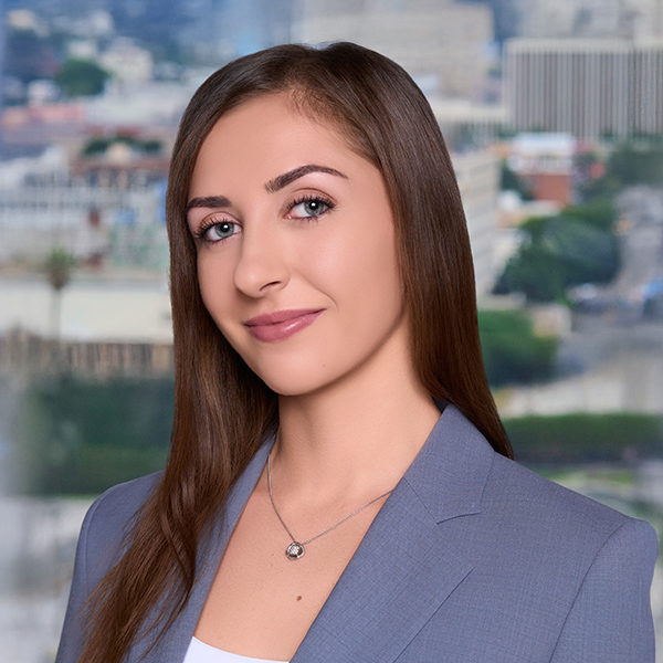 Los Angeles divorce lawyer